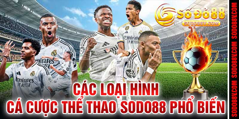 thể thao sodo88