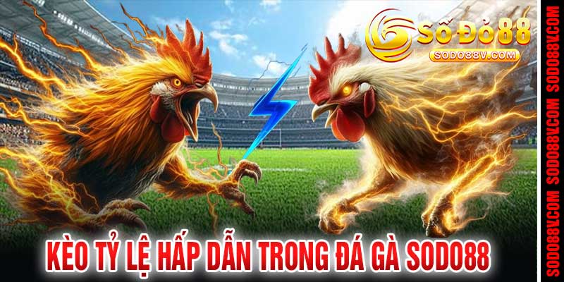 Đá Gà Sodo88