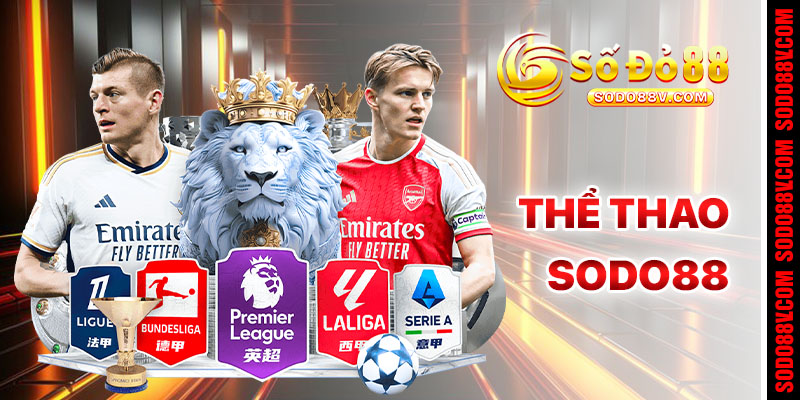 Cá Cược Thể Thao Sodo88 – Tỷ Lệ Hấp Dẫn, Đa Dạng Môn Chơi